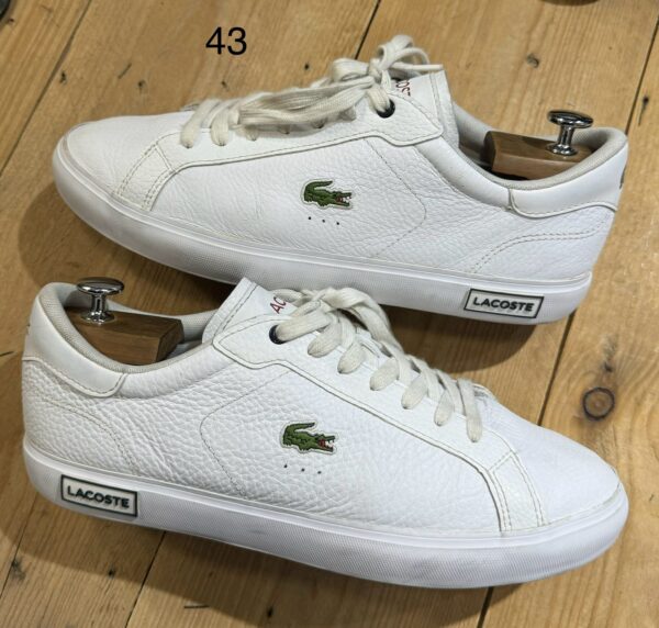 Lacoste "43"