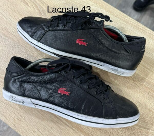 Lacoste "43"